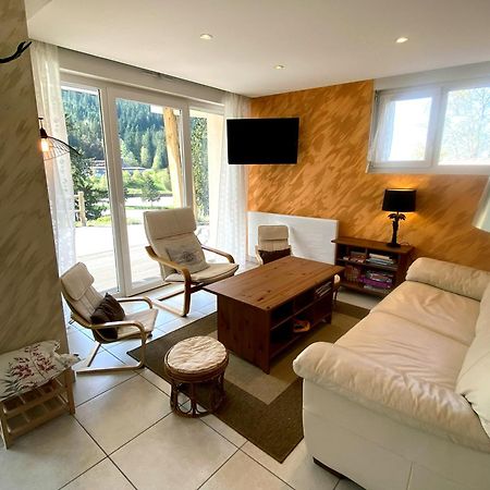 Aux Pieds Des Pistes 4/6 Personnes Apartment Gérardmer Екстериор снимка